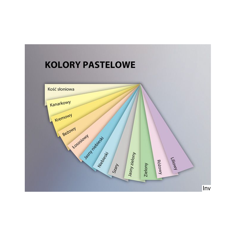 Papier xero A4 80g szaro stalowy xca41993 TROPHEE EMERSON (X)